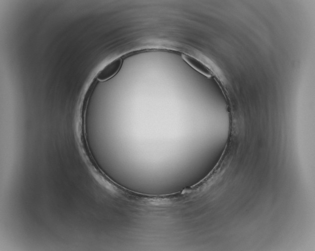 X0000111951136200907271029