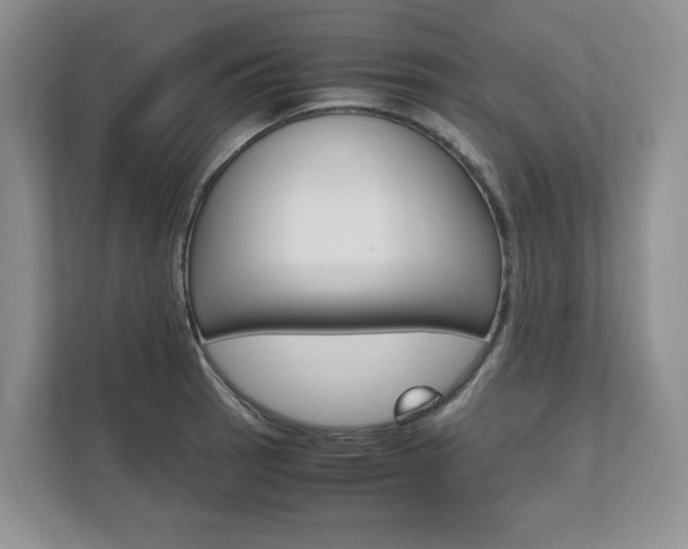 X0000111951137200907271029