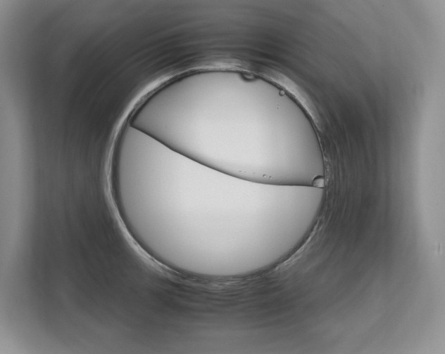 X0000111951139200907271029