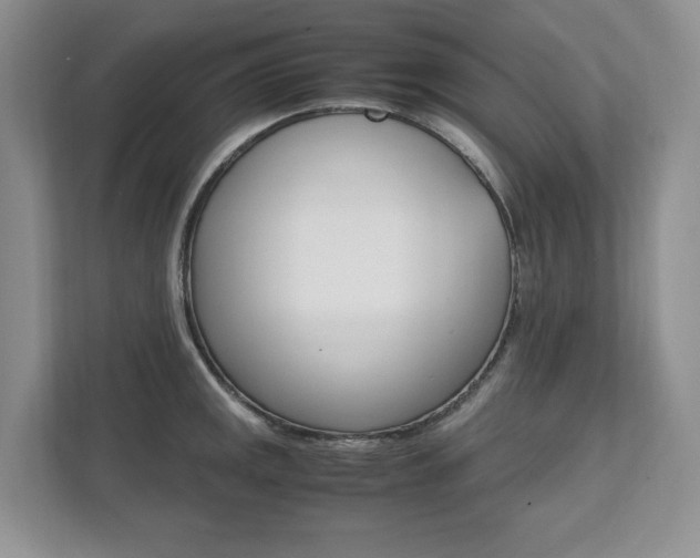 X0000111951141200907271029