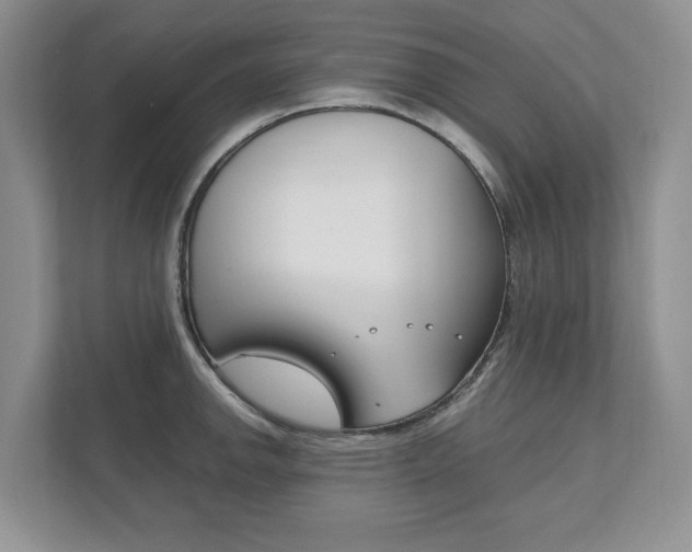 X0000111951142200907271029