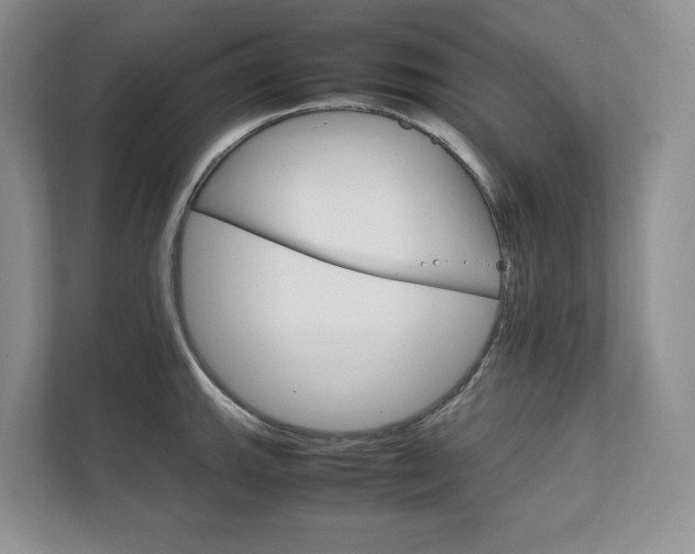 X0000111951143200907271029