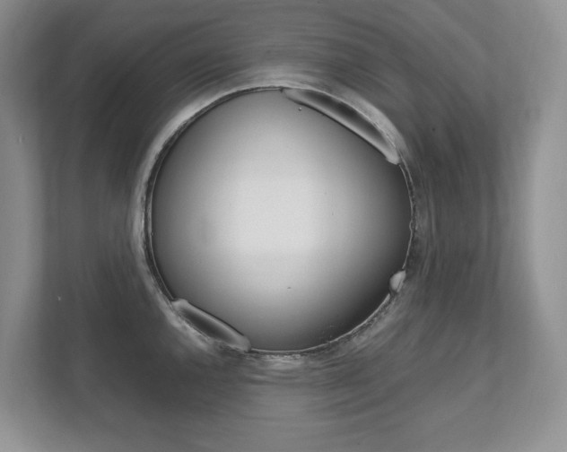 X0000111951144200907271029