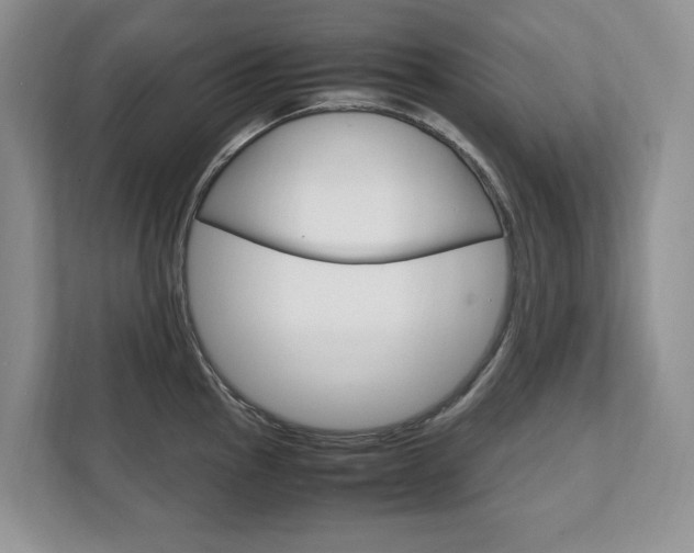 X0000111951145200907271029