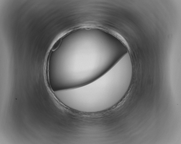 X0000111951146200907271029