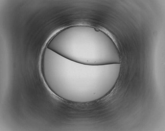X0000111951147200907271029