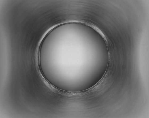 X0000111951148200907271029