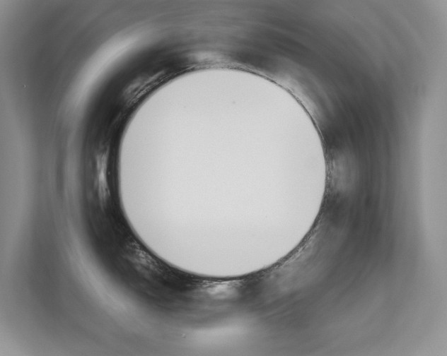 X0000111951150200907271029