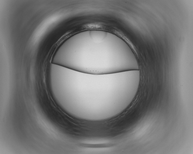 X0000111951151200907271029