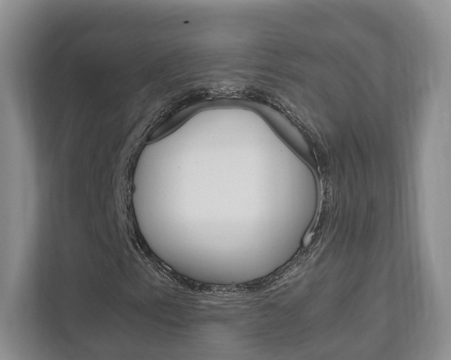 X0000111951153200907271029