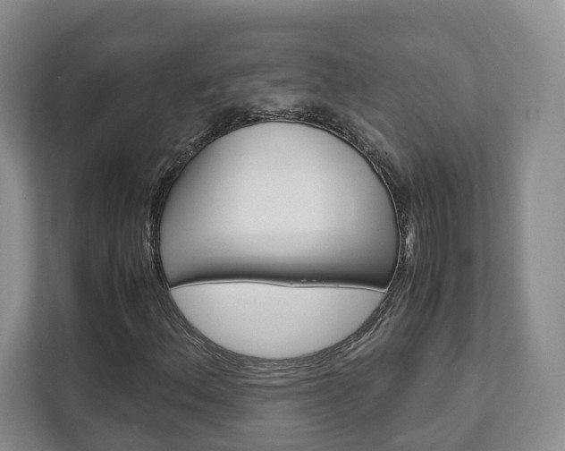 X0000111951156200907271029