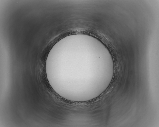 X0000111951158200907271029