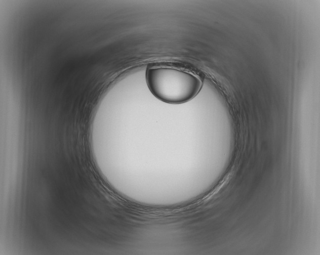 X0000111951161200907271029