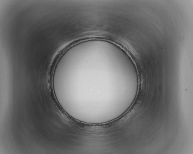 X0000111951164200907271029