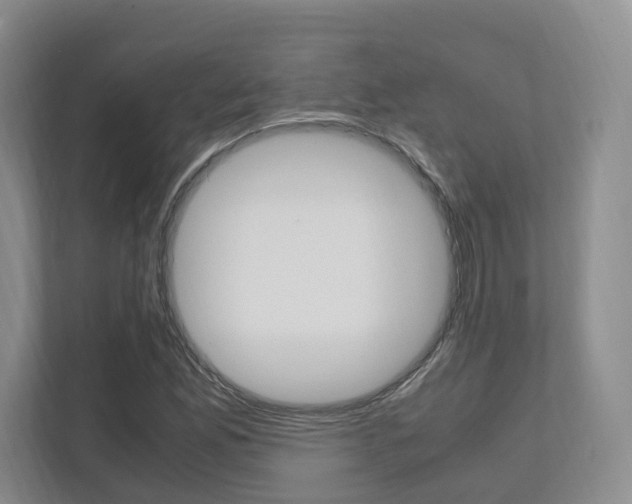 X0000111951165200907271029