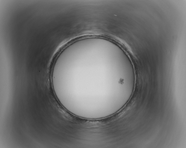 X0000111951168200907271028