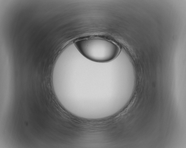 X0000111951169200907271028
