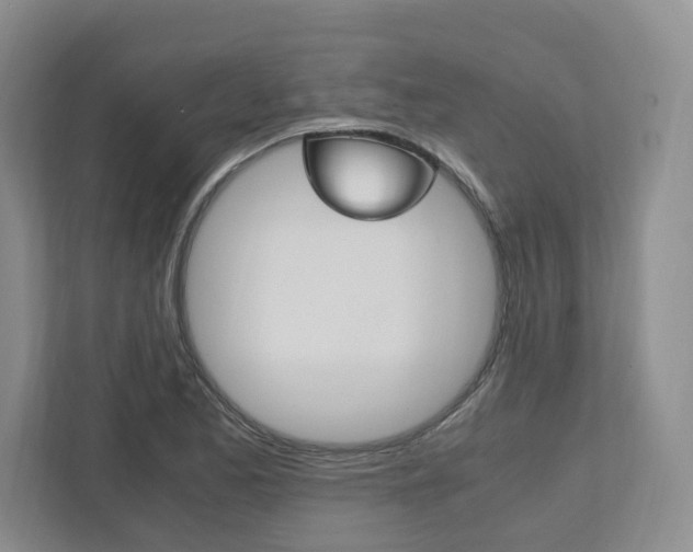 X0000111951173200907271028