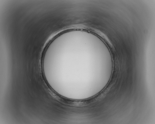X0000111951176200907271028