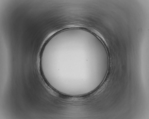 X0000111951179200907271028