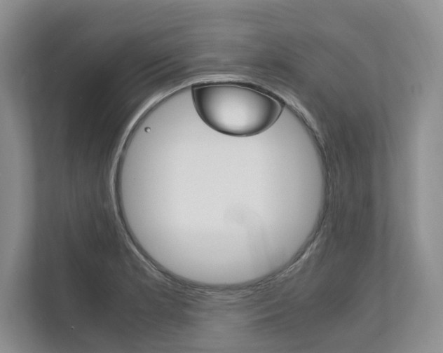 X0000111951181200907271028