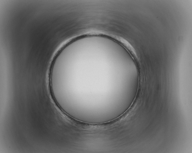 X0000111951183200907271028