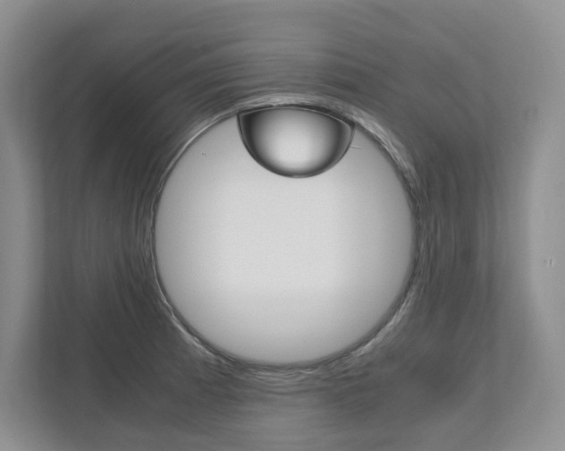 X0000111951185200907271028