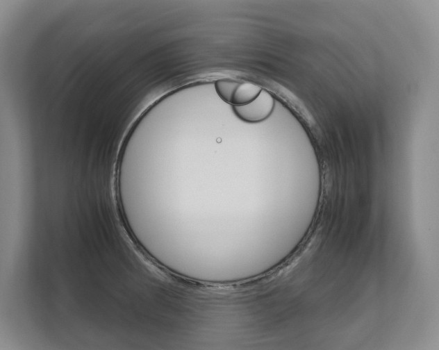 X0000111951186200907271028