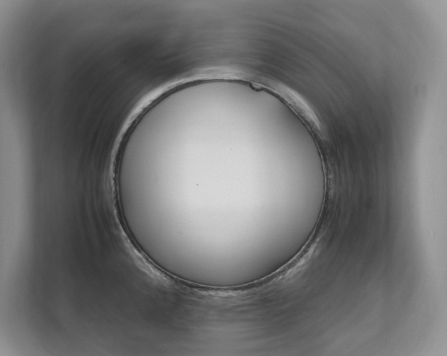 X0000111951192200907271028