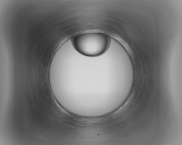 X0000111951193200907271028