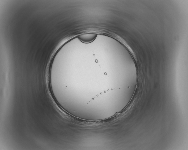 X0000111951195200907271028