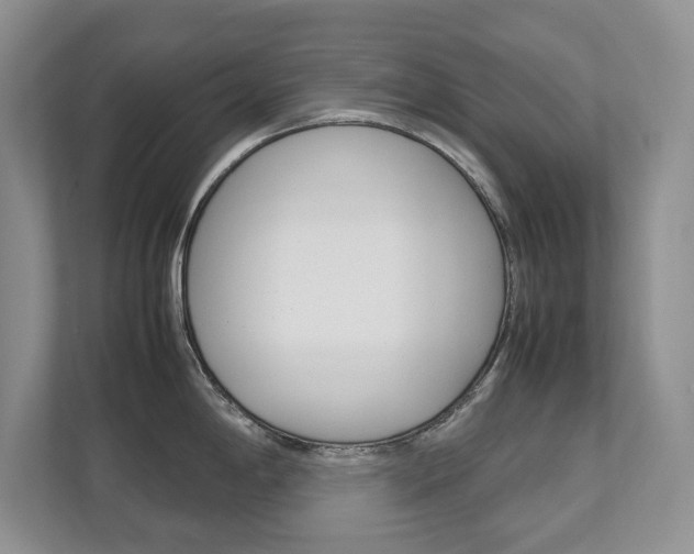 X0000111951198200907271028