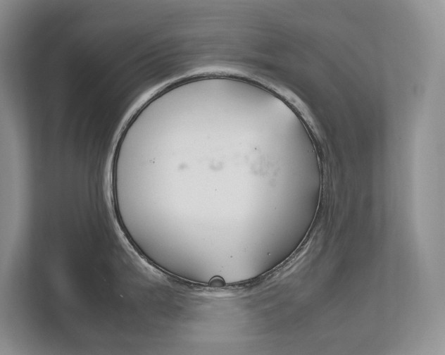 X0000111951199200907271028