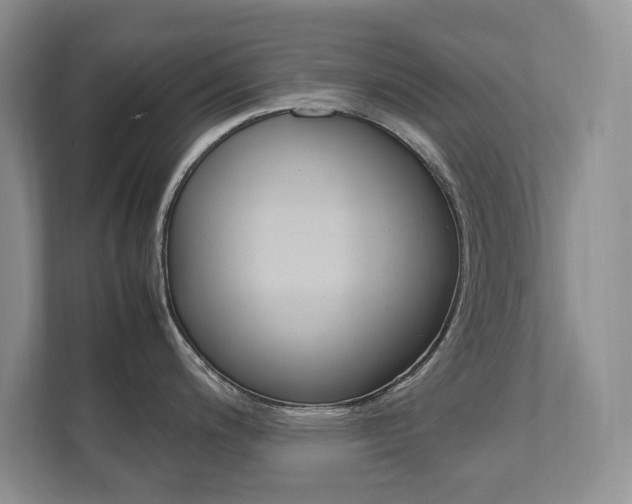 X0000111951200200907271028