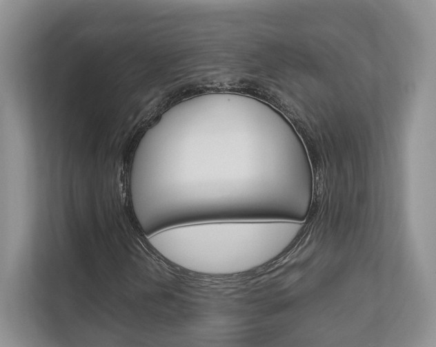 X0000111951202200907271027