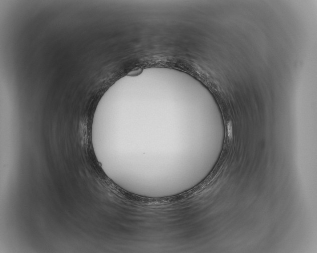 X0000111951203200907271027