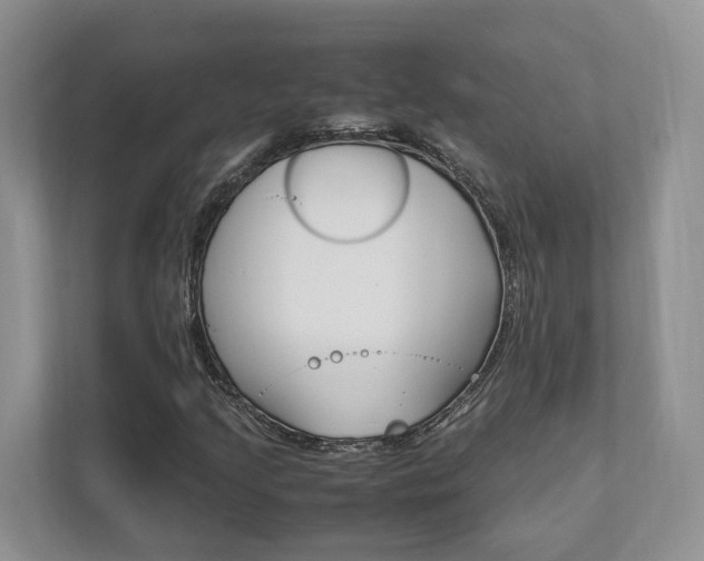 X0000111951205200907271027
