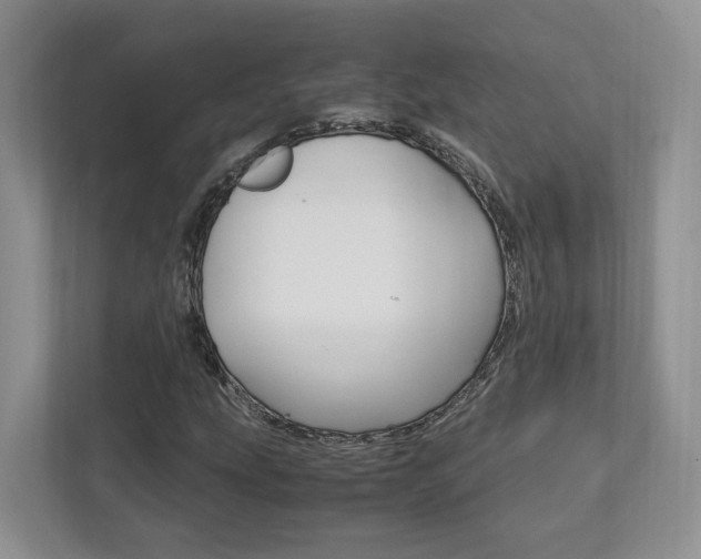 X0000111951207200907271028