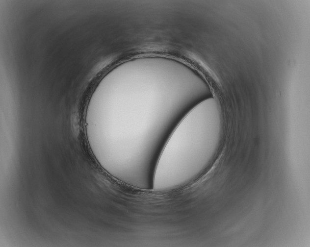 X0000111951213200907271028