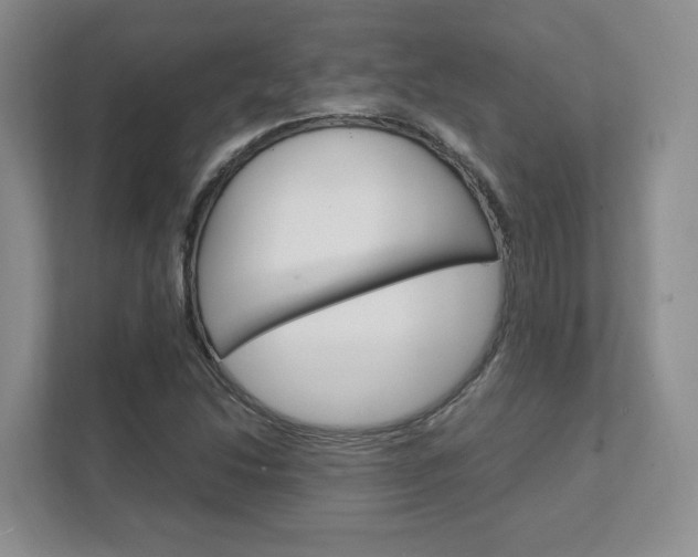 X0000111951214200907271028