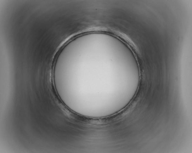 X0000111951220200907271028