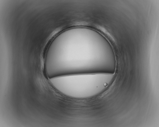 X0000111951221200907271028