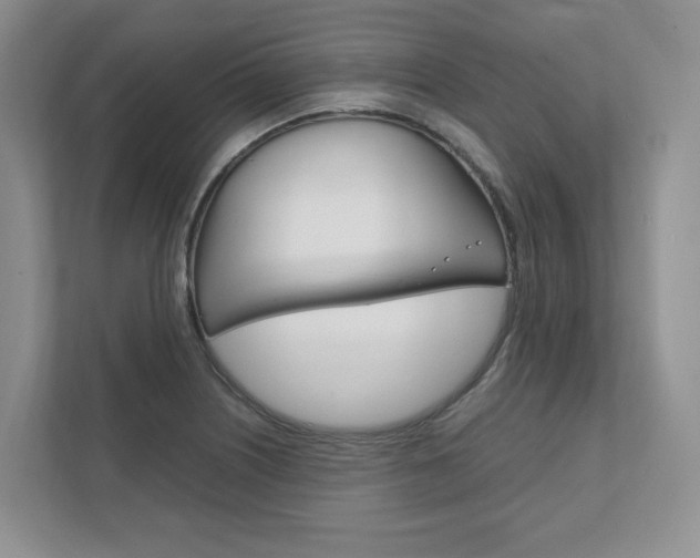X0000111951226200907271028