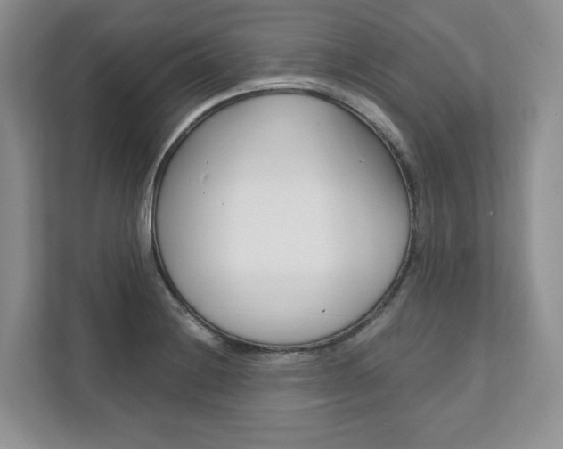 X0000111951228200907271028