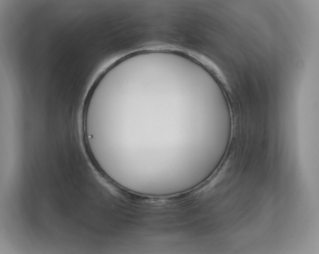 X0000111951231200907271028