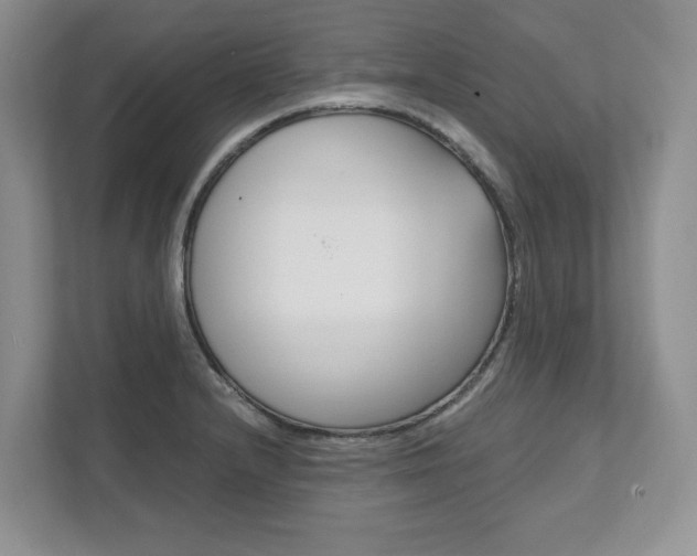 X0000111951232200907271028