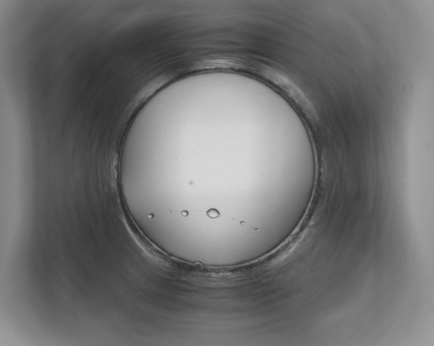 X0000111951233200907271028