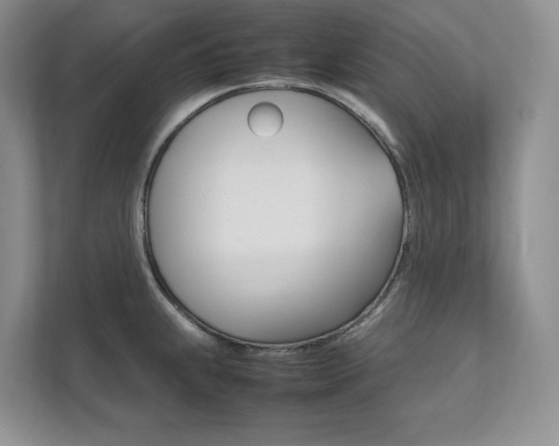 X0000111951239200907271028