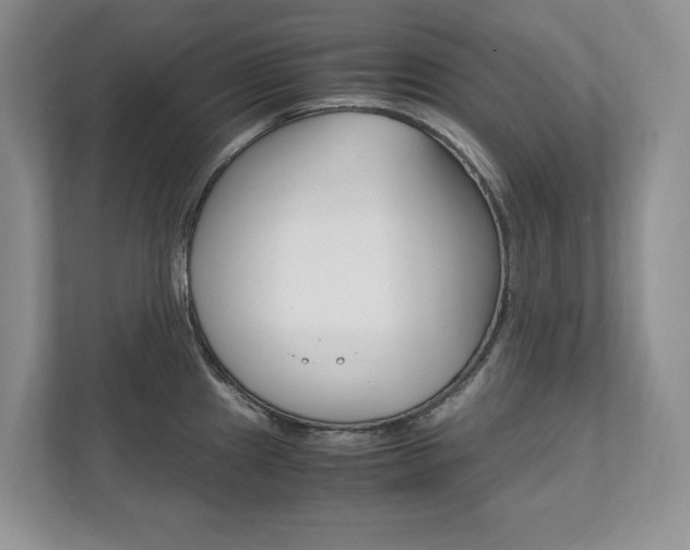 X0000111951241200907271028