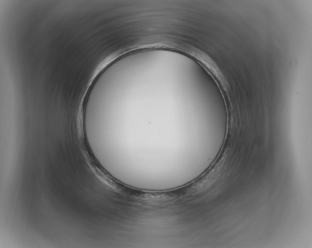 X0000111951242200907271028